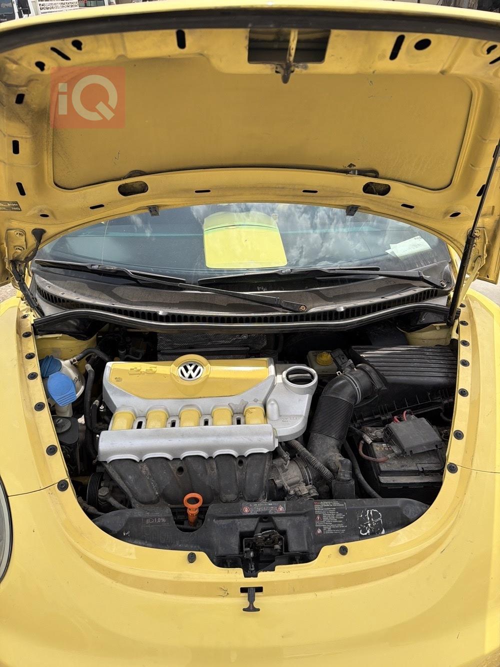 Volkswagen Beetle
